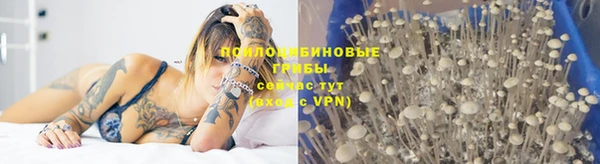 круглые Алексин