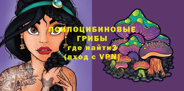 бутират Алексеевка