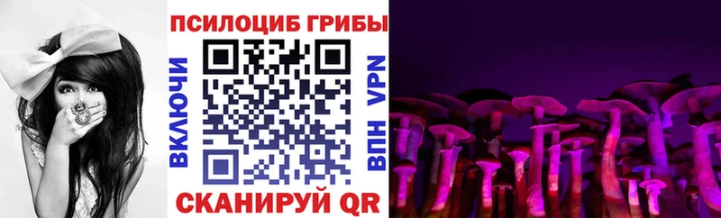 Псилоцибиновые грибы мицелий  Рыбное 